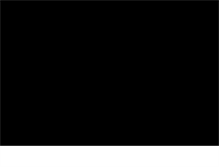 Tablet Screenshot of digipilot.com